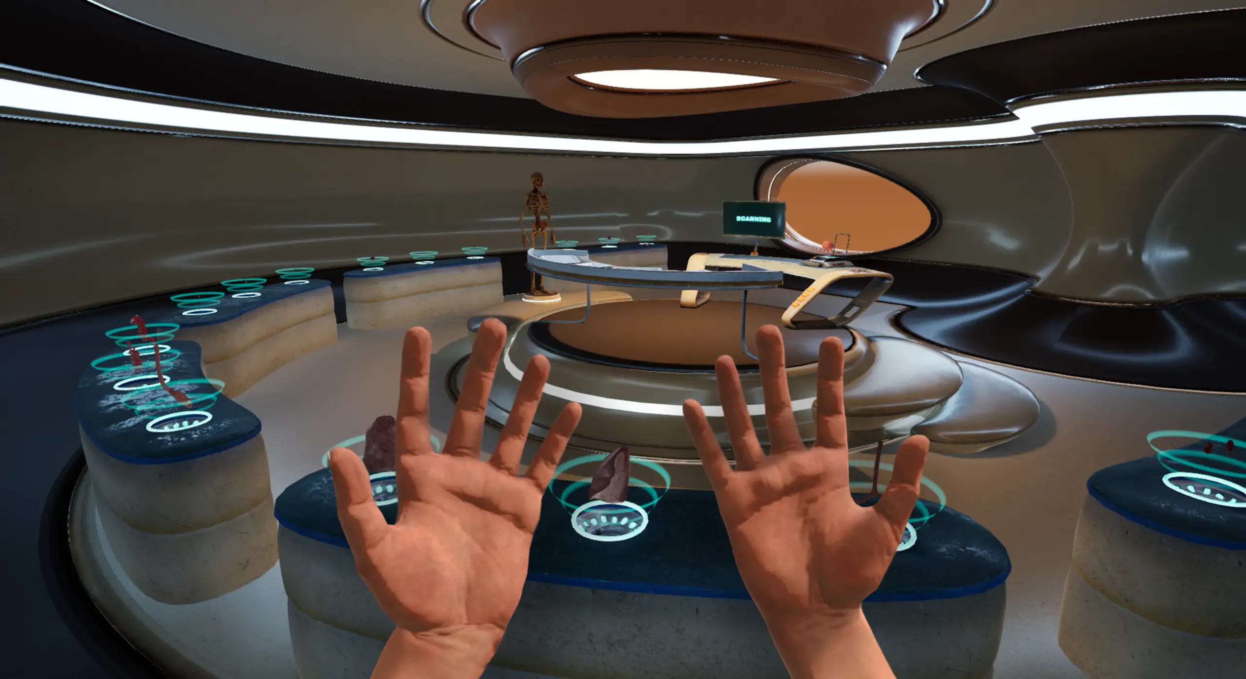 Immersive Experience