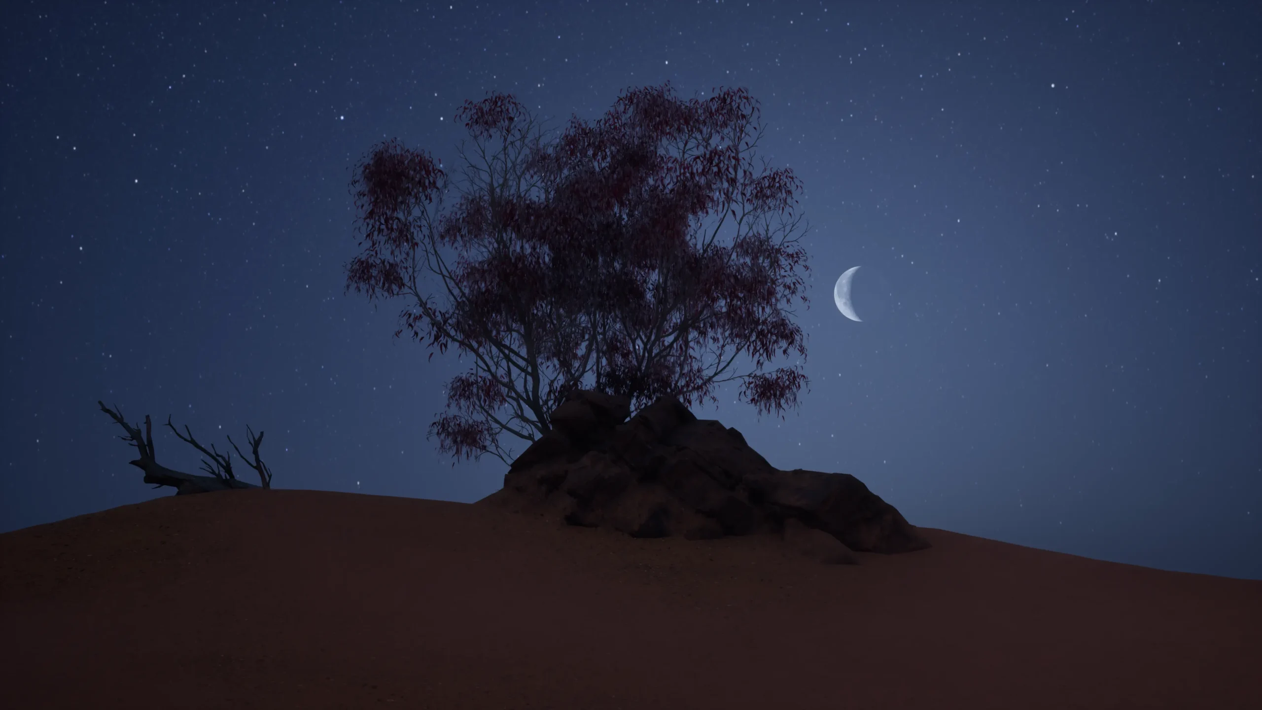 Immersive Experience 3